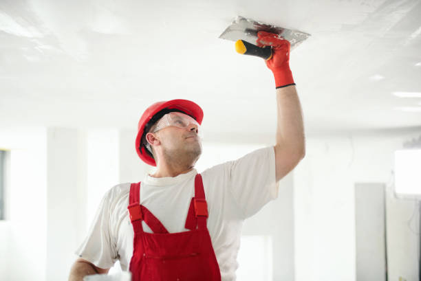 Best Ceiling Drywall Installation  in Newmanstown, PA